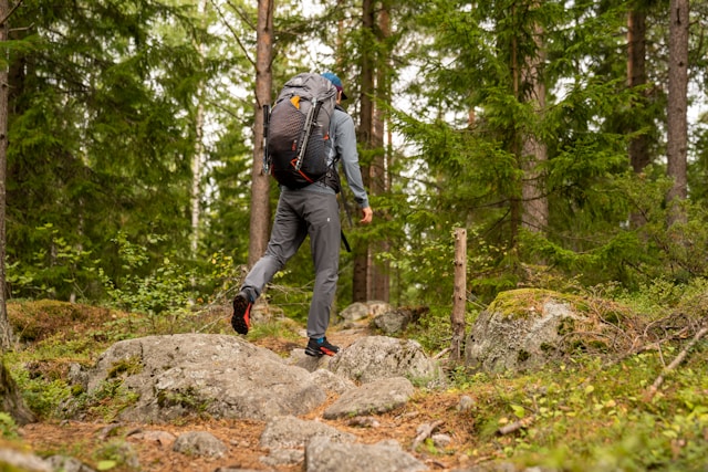 parent activities trekking